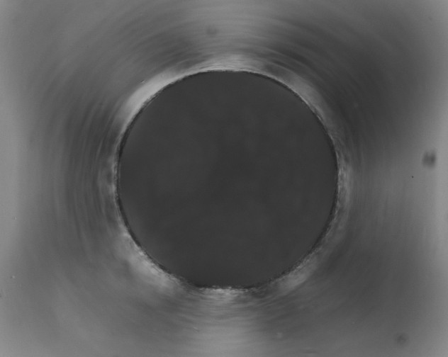 X0000112150854200909181422