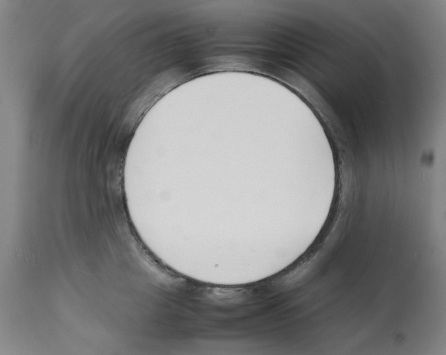 X0000112150857200909181422