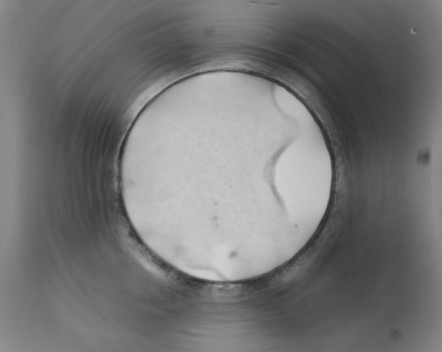X0000112150858200909181422