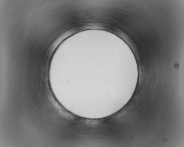 X0000112150861200909181422