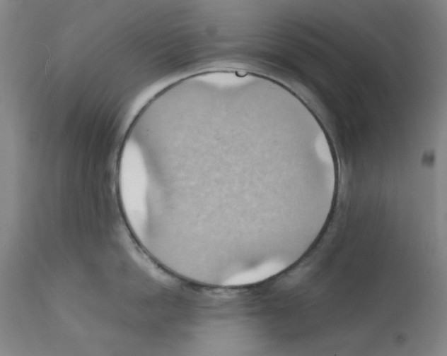 X0000112150862200909181422