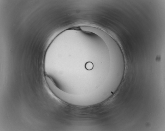 X0000112150863200909181422