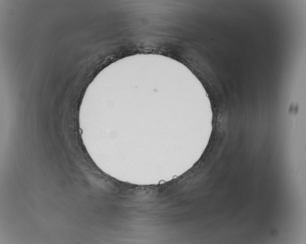 X0000112150865200909181421