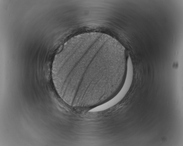 X0000112150868200909181421