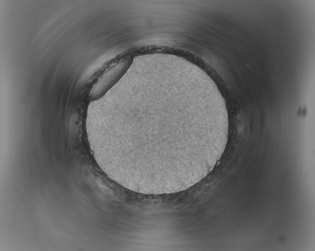 X0000112150872200909181421