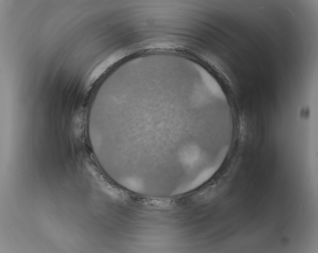 X0000112150874200909181421