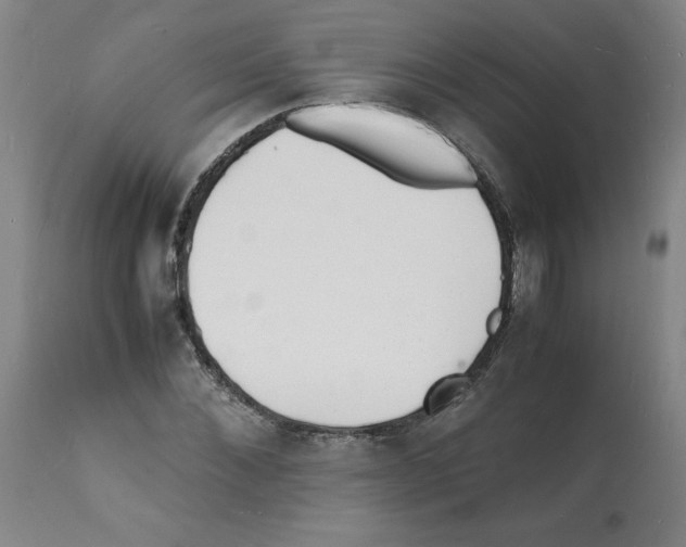 X0000112150876200909181421