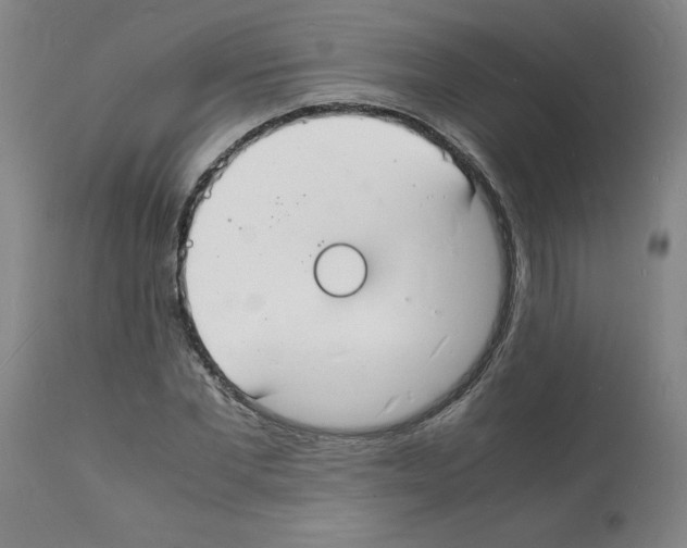 X0000112150877200909181421