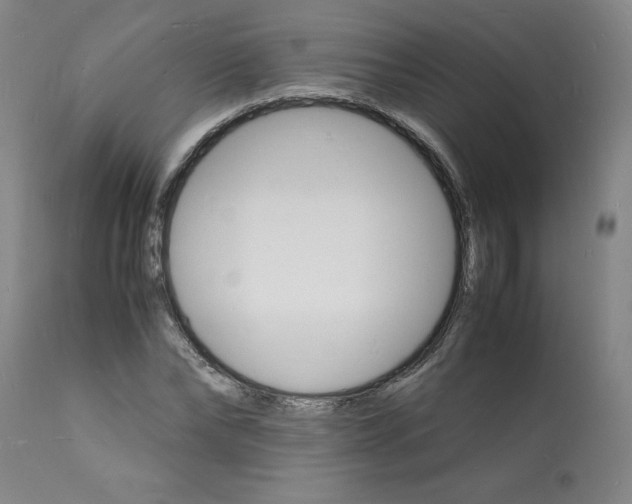 X0000112150878200909181421