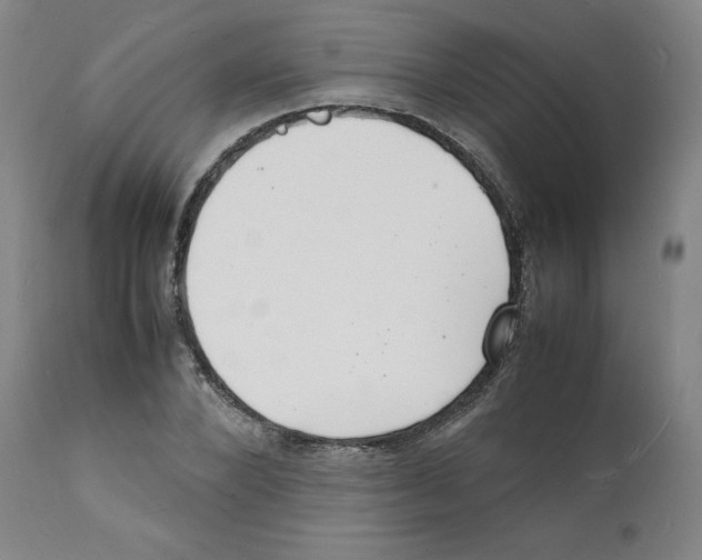 X0000112150880200909181421