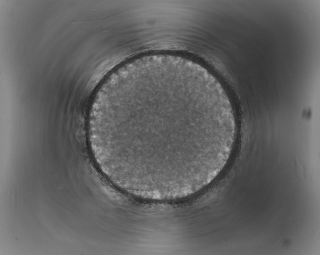 X0000112150881200909181421