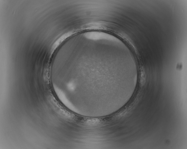 X0000112150882200909181420