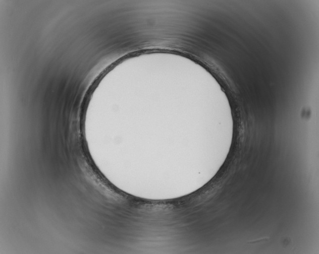 X0000112150884200909181420