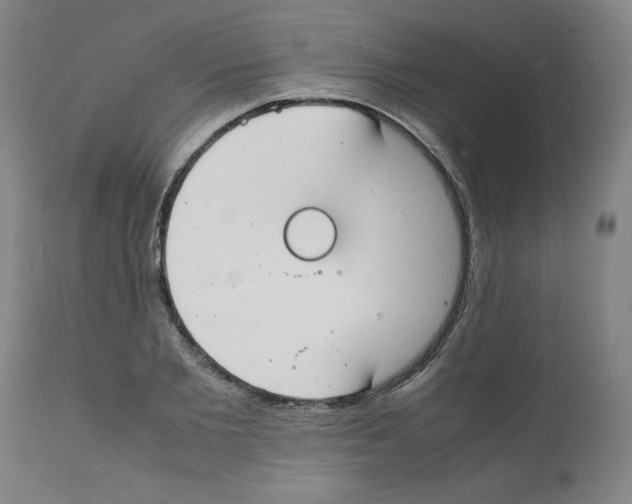 X0000112150885200909181420