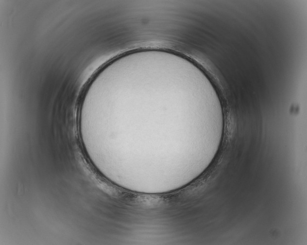 X0000112150886200909181420