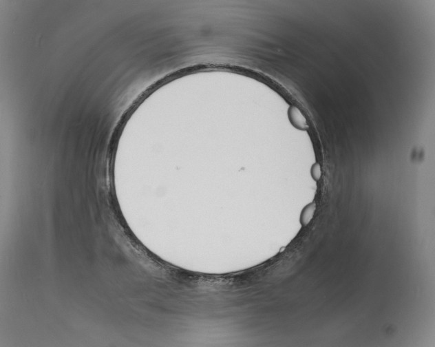 X0000112150887200909181420