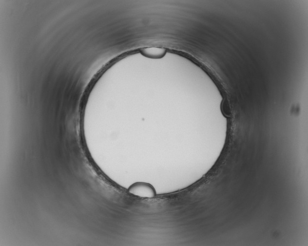 X0000112150888200909181420