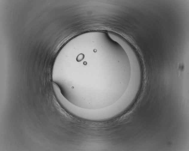 X0000112150889200909181420
