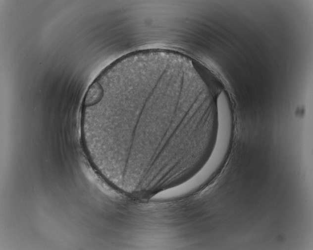 X0000112150892200909181420