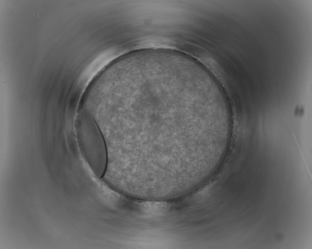 X0000112150893200909181420