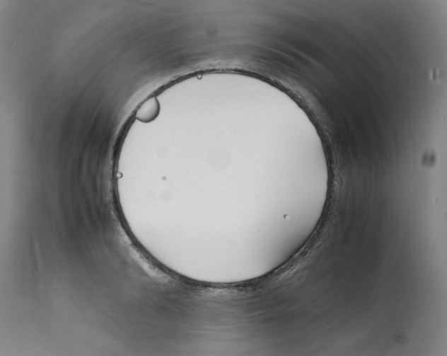 X0000112150894200909181420
