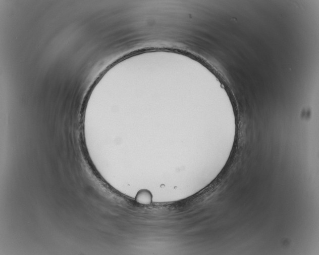 X0000112150895200909181420