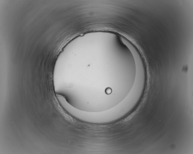 X0000112150897200909181420