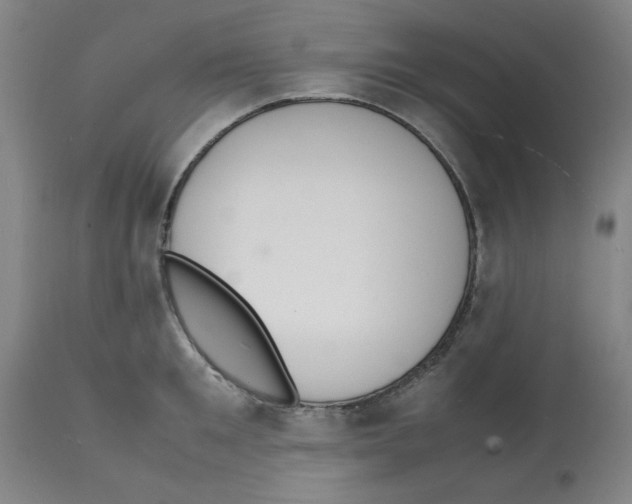 X0000112150901200909181420