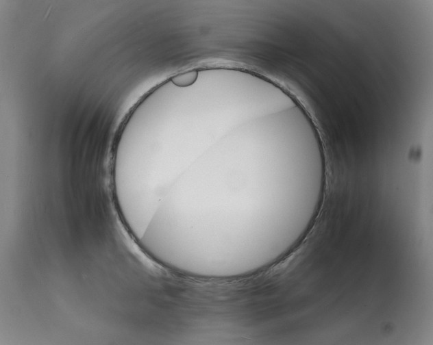 X0000112150902200909181420