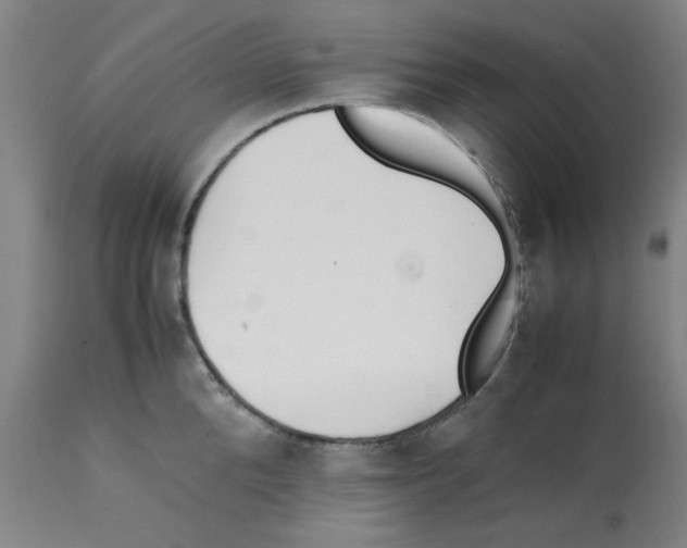 X0000112150904200909181420