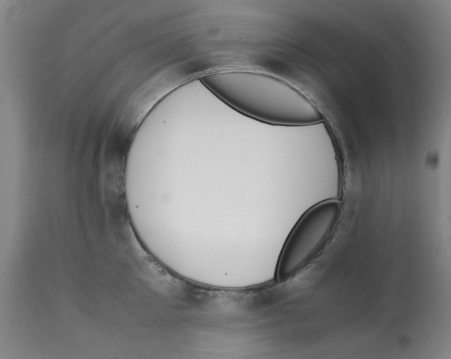 X0000112150905200909181420