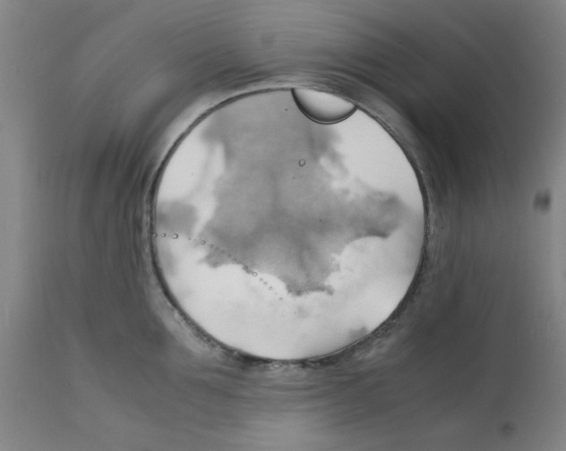 X0000112150907200909181420