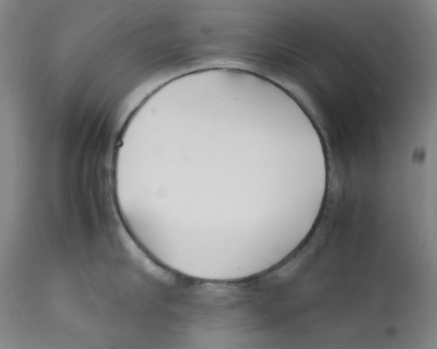 X0000112150910200909181420