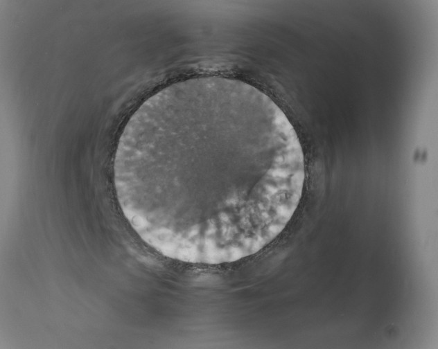 X0000112150913200909181419