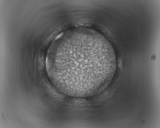 X0000112150915200909181419