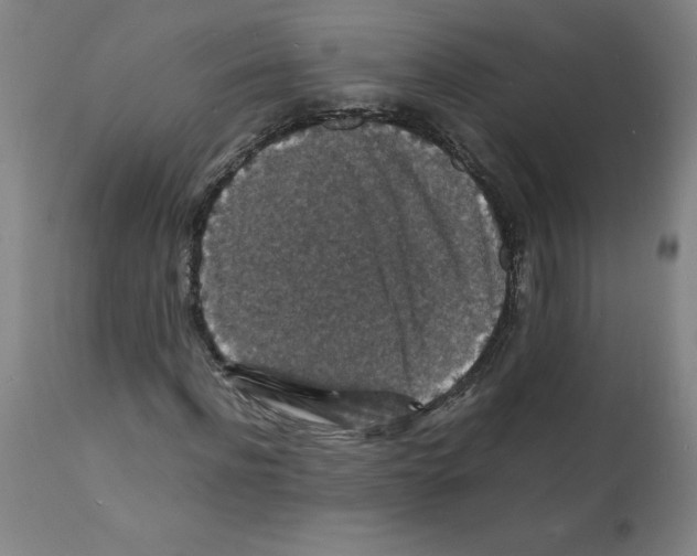 X0000112150916200909181419