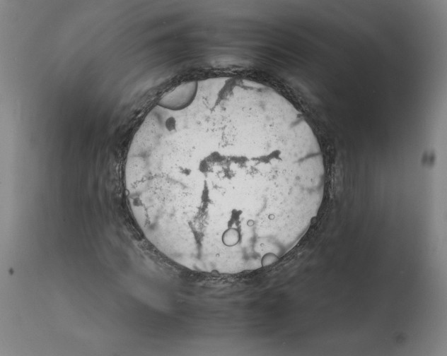 X0000112150917200909181419