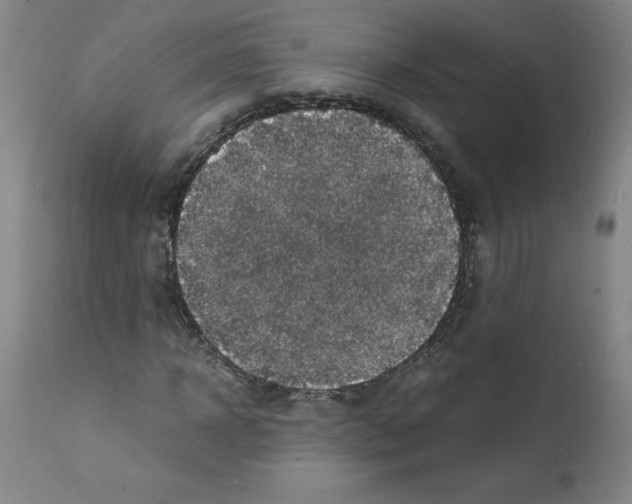 X0000112150918200909181419