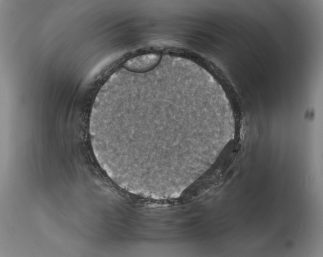 X0000112150919200909181419