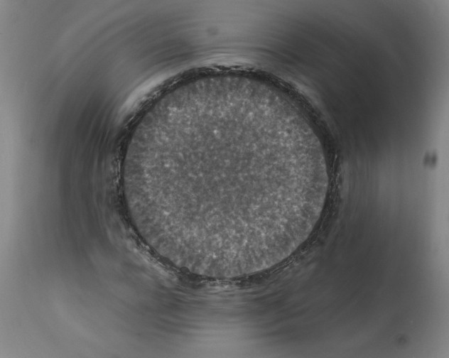 X0000112150920200909181420