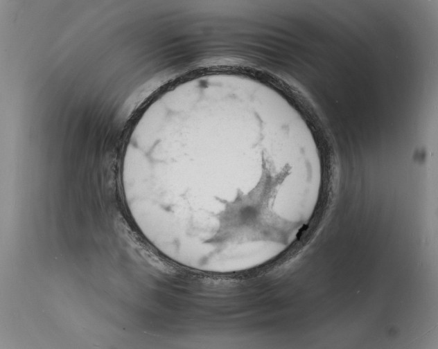 X0000112150921200909181420
