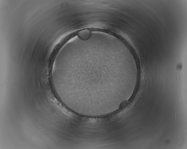 X0000112150923200909181420