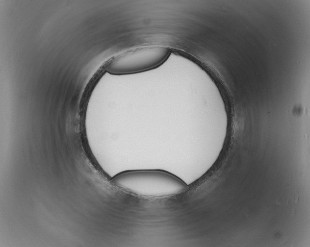X0000112150924200909181420