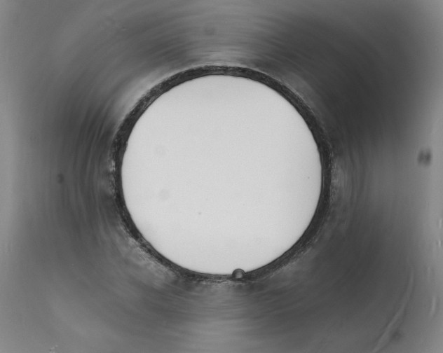 X0000112150926200909181420