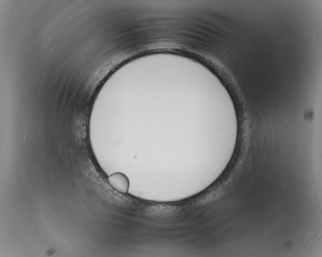 X0000112150929200909181420