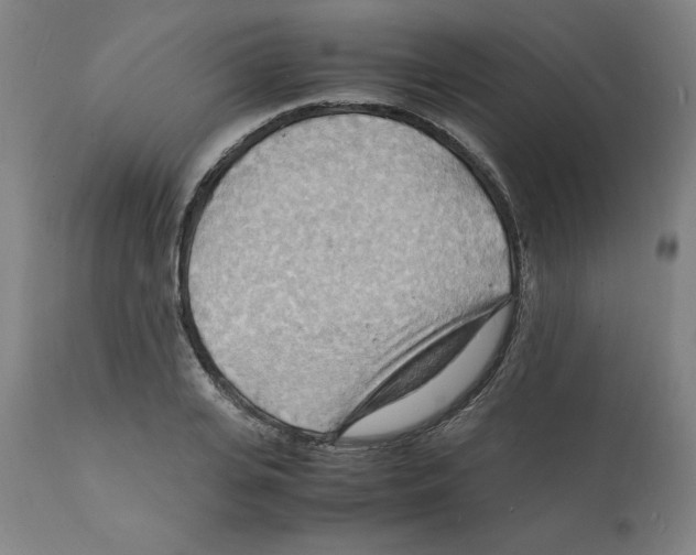 X0000112150935200909181420