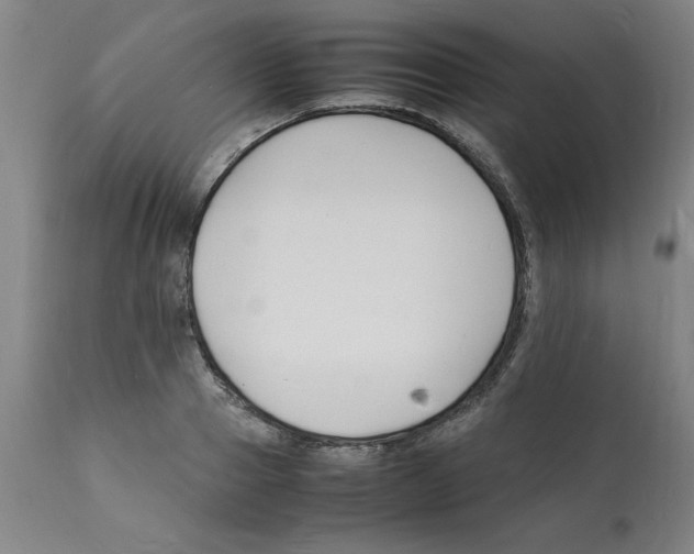 X0000112150937200909181420
