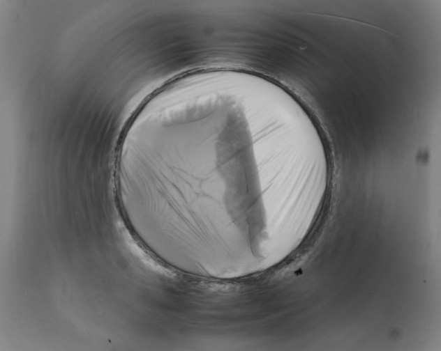 X0000112150941200909181420