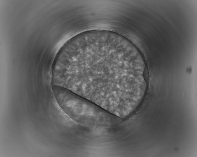 X0000112150944200909181420