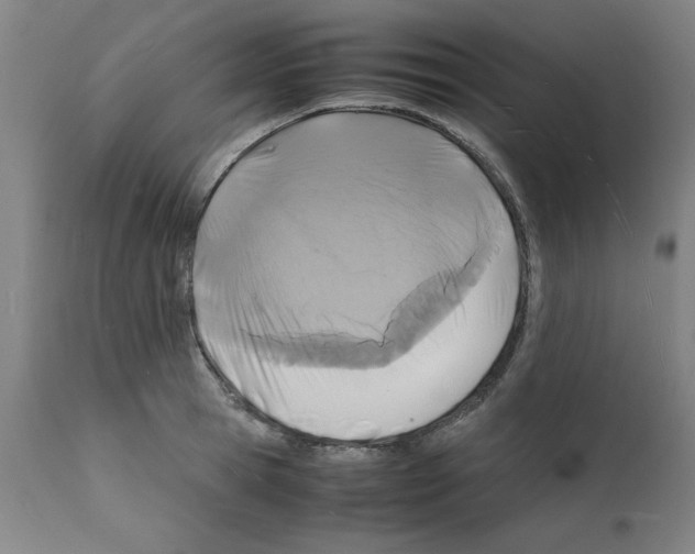 X0000112150945200909181420